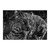 Imagen de Leopardo