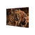 Leopardo - comprar online