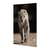 Leopardo sigiloso