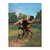 Los luchadores - comprar online