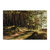 Luz solar en el bosque - comprar online