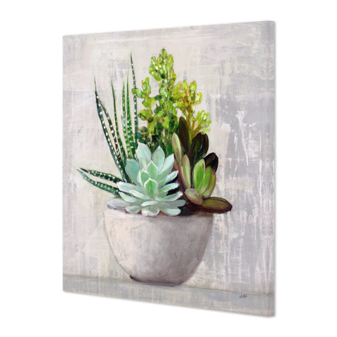 Maceta de suculentas II