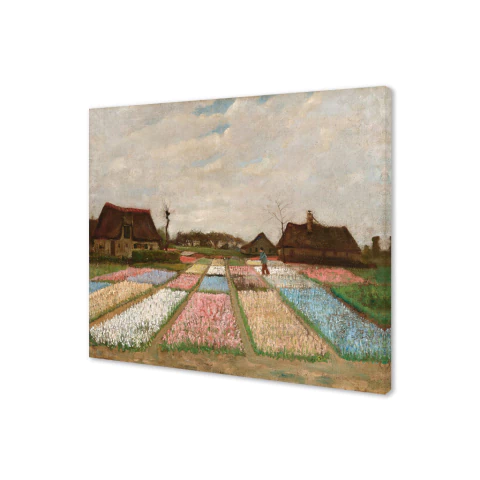 Macizo de flores en Holanda - comprar online