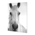 Mirada de caballo