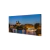 Notre Dame