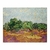Olivos (version MET) - comprar online