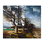 Paisaje con arboles - comprar online