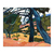 Paisaje de Cassis - comprar online