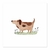 Perro salchicha - comprar online