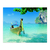 Playa en Krabi - comprar online