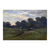 Pradera con vacas - comprar online