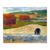 Recolector de algas - comprar online