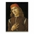Retrato de un joven - comprar online