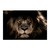 Retrato de leon II - comprar online