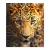 Retrato Leopardo - comprar online