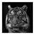 Retrato de tigre - comprar online