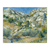 Riscos rocosos - comprar online