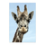 Rostro de jirafa - comprar online