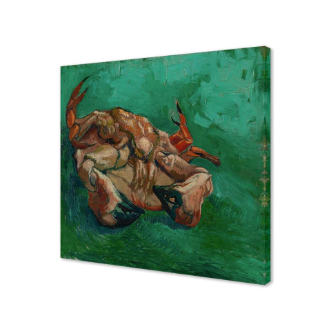 Un cangrejo de espaldas - comprar online