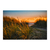 Verde junto a la costa - comprar online