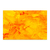 Yellow paint - comprar online