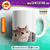 Caneca Pet na Caneca 11