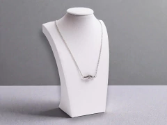 Collar Conexión Única en internet