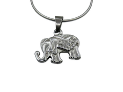 Conjunto Elefante en internet