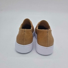 Panchas Basilea camel