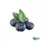 Mirtilo Orgânico Fresco (100g) - comprar online