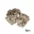 Cogumelo Shimeji Orgânico (200g) - comprar online