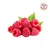 Framboesa Livre de Agrotóxicos in natura (aprox. 100g) - comprar online