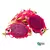Pitaya Roxa Orgânica (400-500g) - comprar online