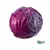 Repolho Roxo Orgânico (300g) - comprar online