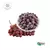 Uva Orgânica Congelada (100g) - Horta à Porta - comprar online