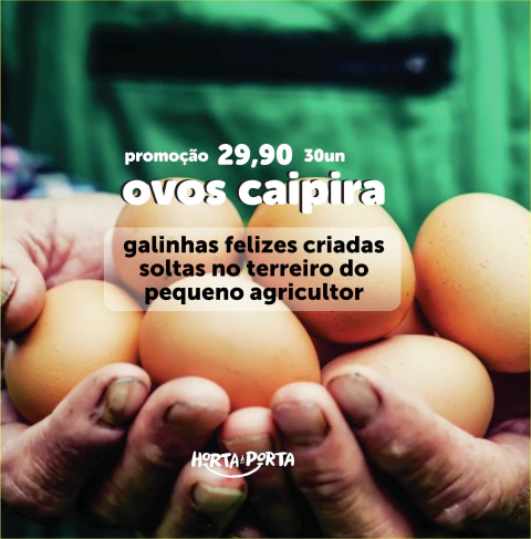 Carrossel 1