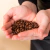 Café en Grano