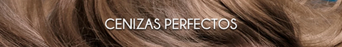 Banner de la categoría CENIZAS PERFECTOS