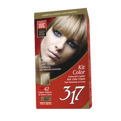 KIT 317 - Nº 8.11 | Rubio Claro Ceniza Tornasol