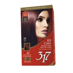 KIT 317 - Nº 6.66 | Rojo