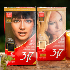 TINTURA KIT COLOR X 12 UNIDADES - comprar online