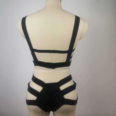 Imagen de Conjunto de 2 Piezas de Elasticos Premiun SL081