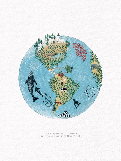 Banner de Paula Fili