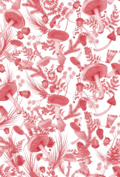 PIJAMA FUNGI ROJO en internet