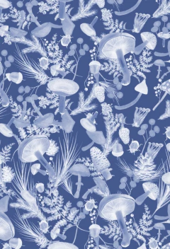 PIJAMA FUNGI AZUL en internet