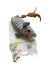 Juguete para gatos (ratoncito aterciopelado) en internet