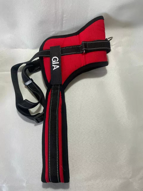 Pechera acolchada personalizada con nombre