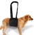 Soporte para perros con problemas de movilidad - comprar online