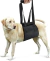 Soporte para perros con problemas de movilidad - Dudi Mascotas - PET SHOP ONLINE 
