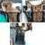 Imagen de Red divisoria para llevar a tu mascota en el auto